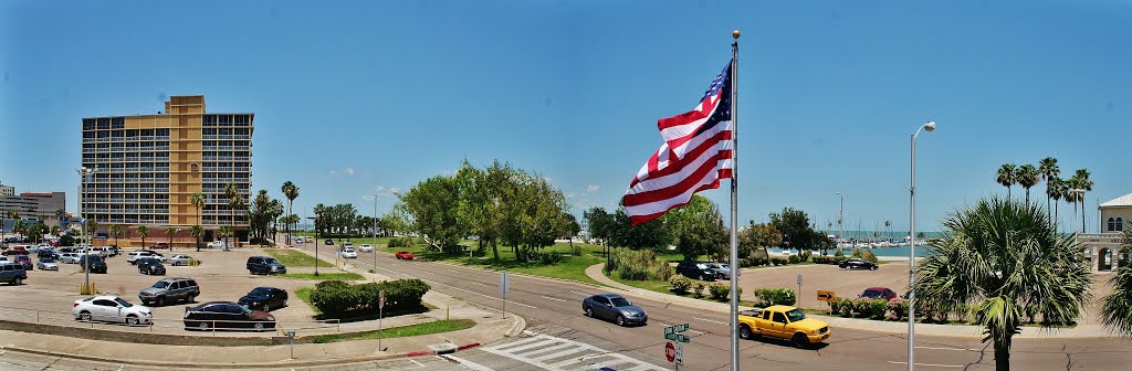 Corpus Christi Marina From Shoreline Blvd