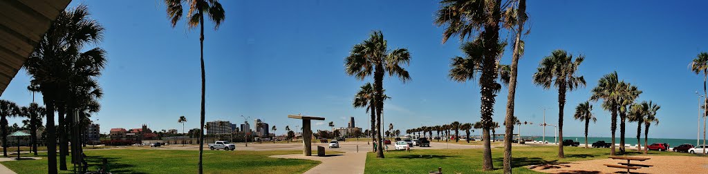 Corpus Christi From Waterfront Park