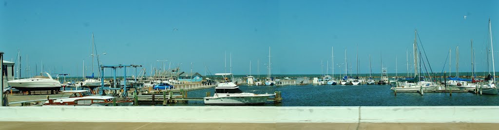 Corpus Christi Marina