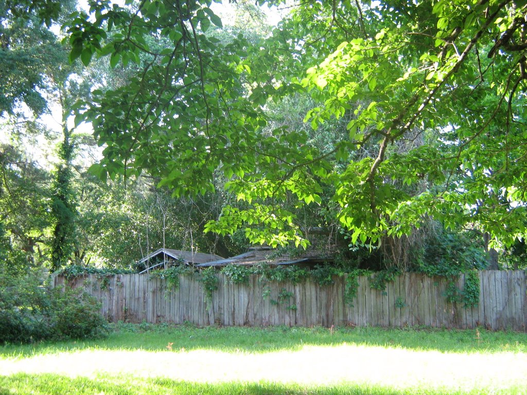Ivy Fence 2