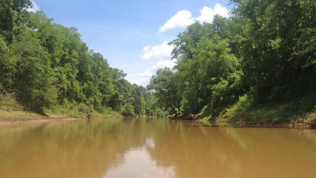 Solitude on the Sabine