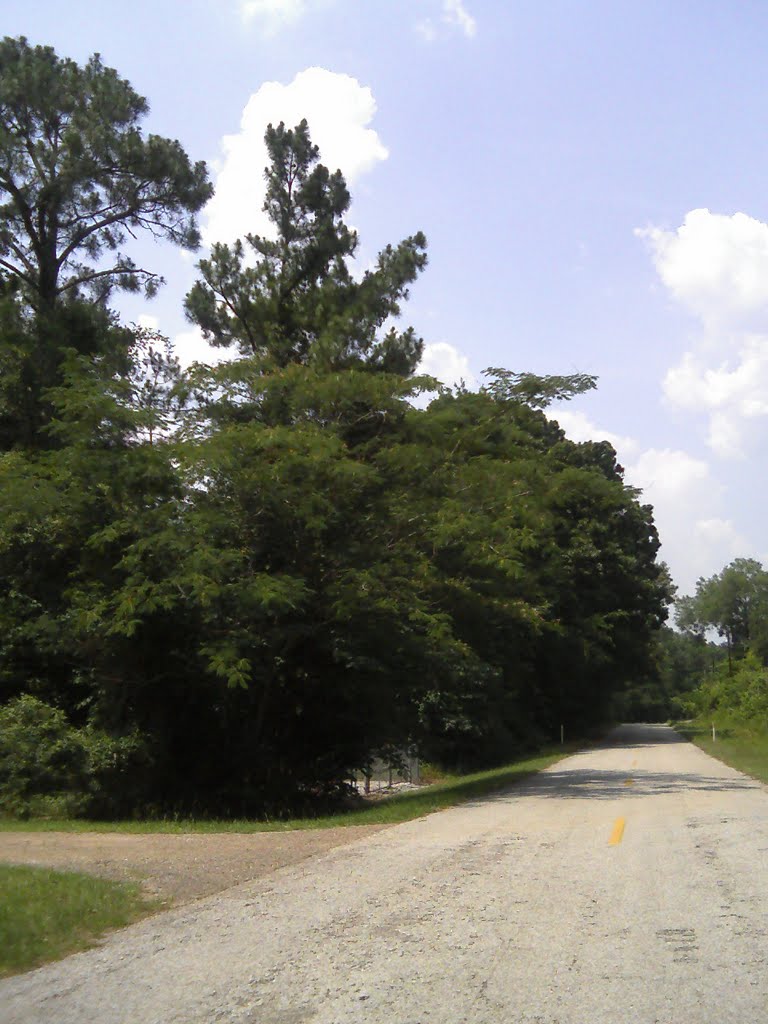 shortcut