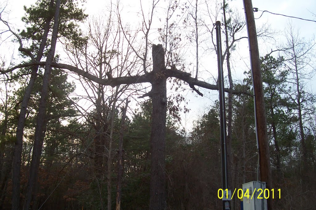 Cross in the woods near home