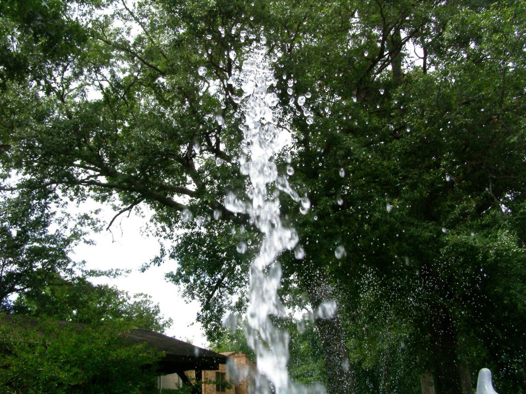 Fountain at Rotary Park