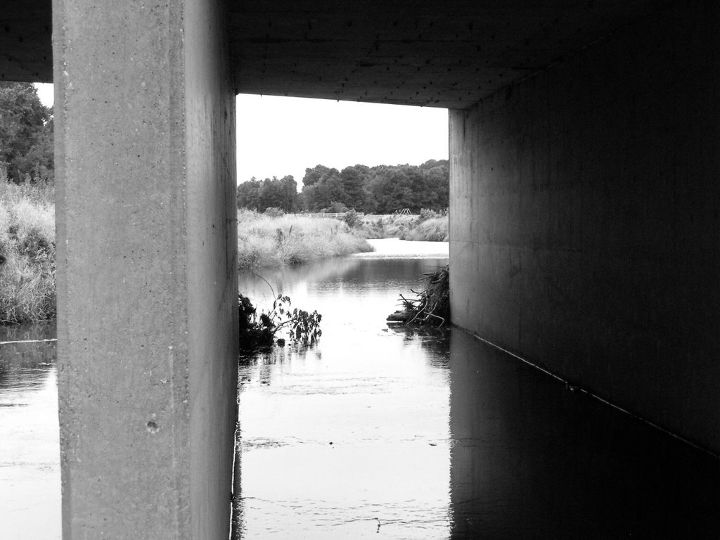 Under the Bridge