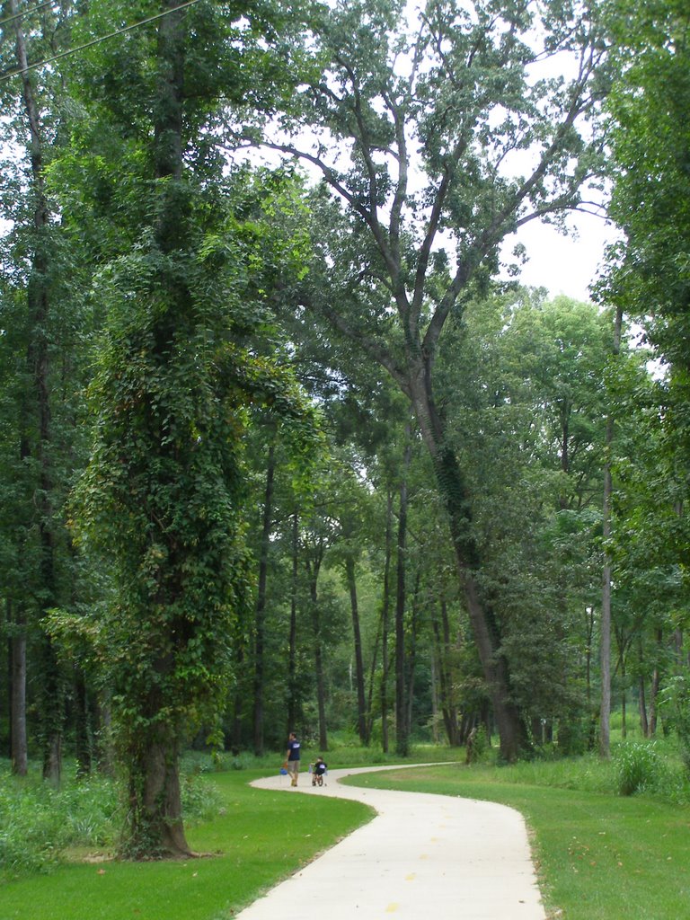US 80 Trailhead, trees near jackson park longview tx