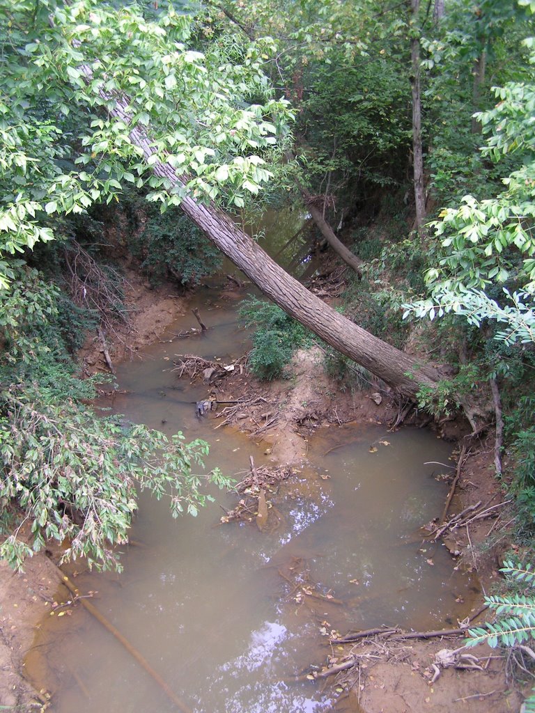 Longview