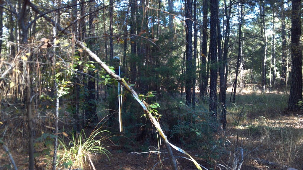 Site #7
