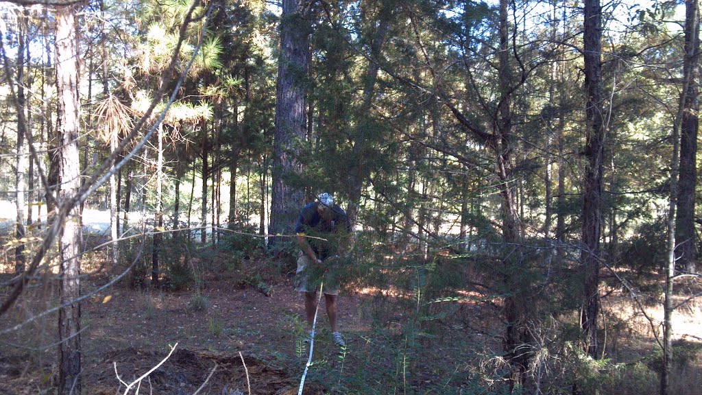 Site #8