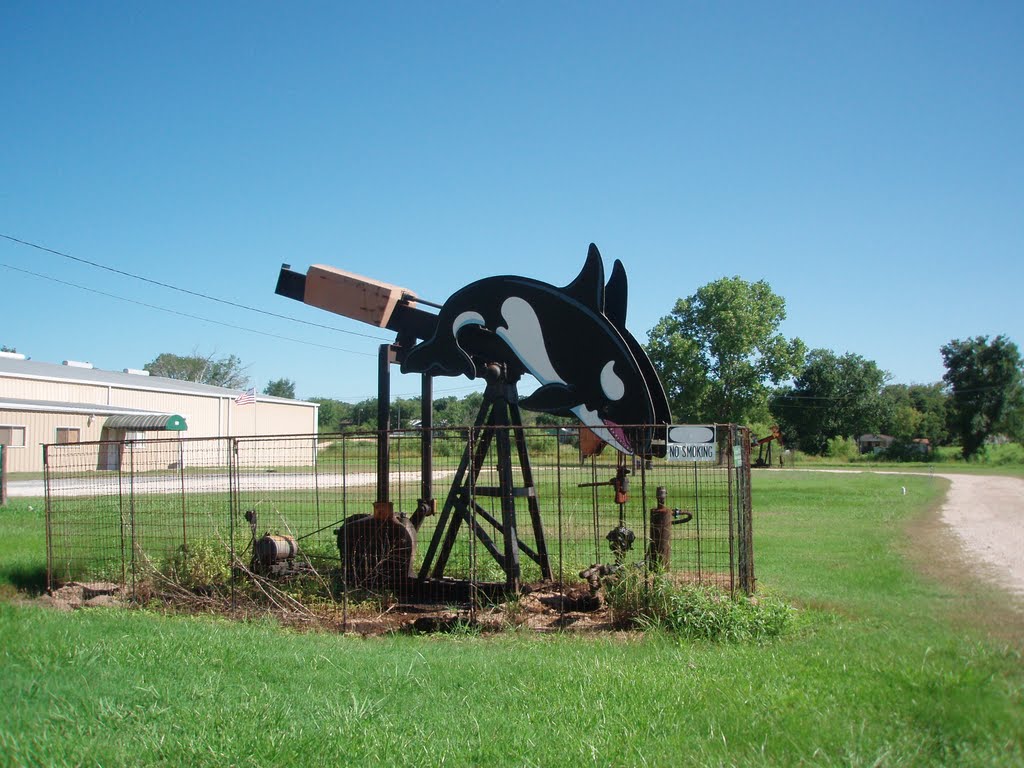 Decorated Petroleum Pump, Luling, Texas