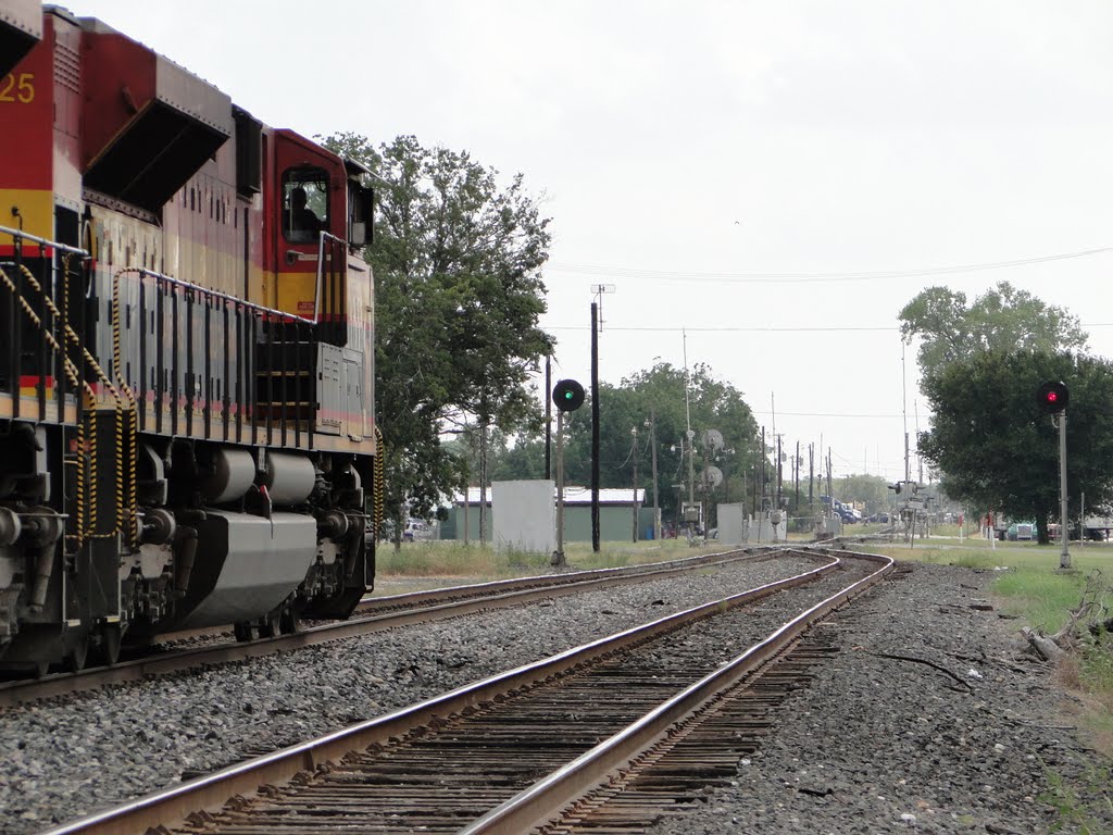 Old SP Sunset Line looking east Aug 2010