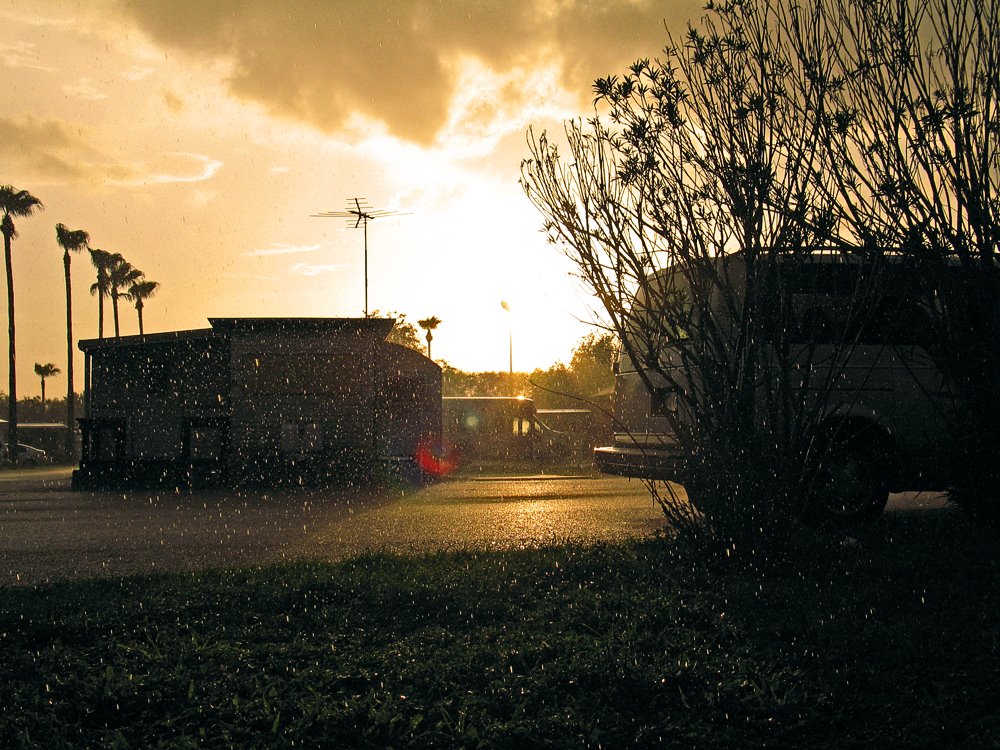 Rain at The Homestead Trailer Park