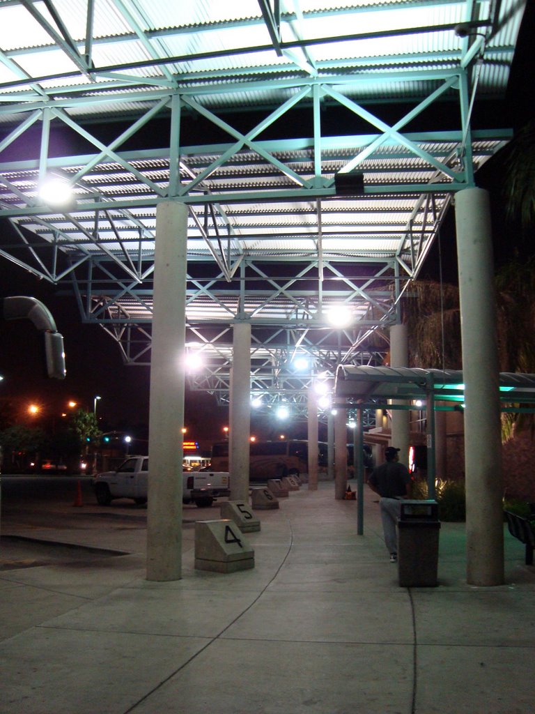 McAllen 04