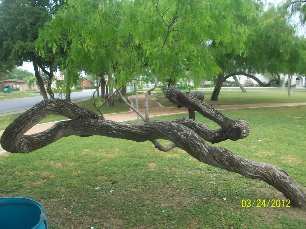 Park