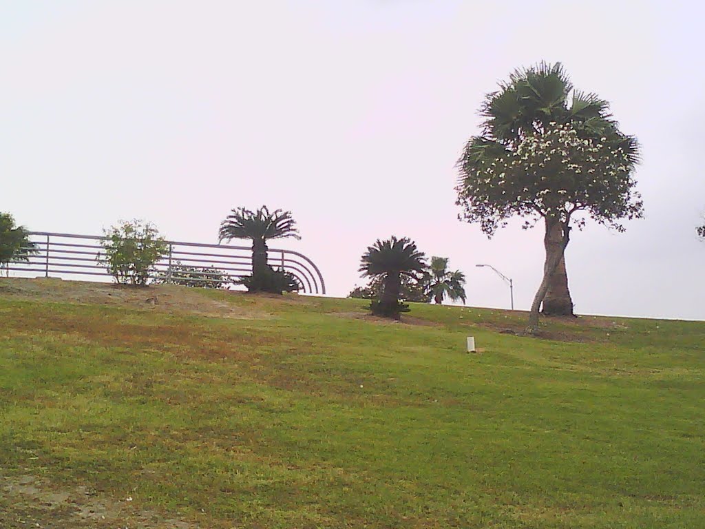 Bike Trail