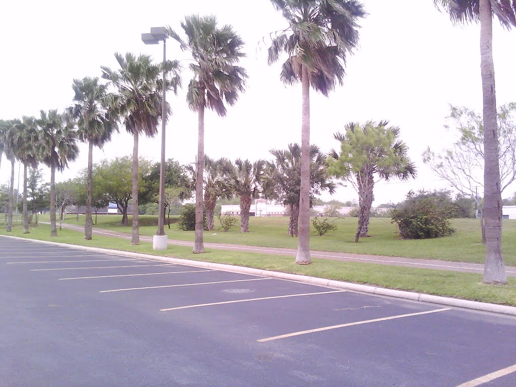 Bike Trail
