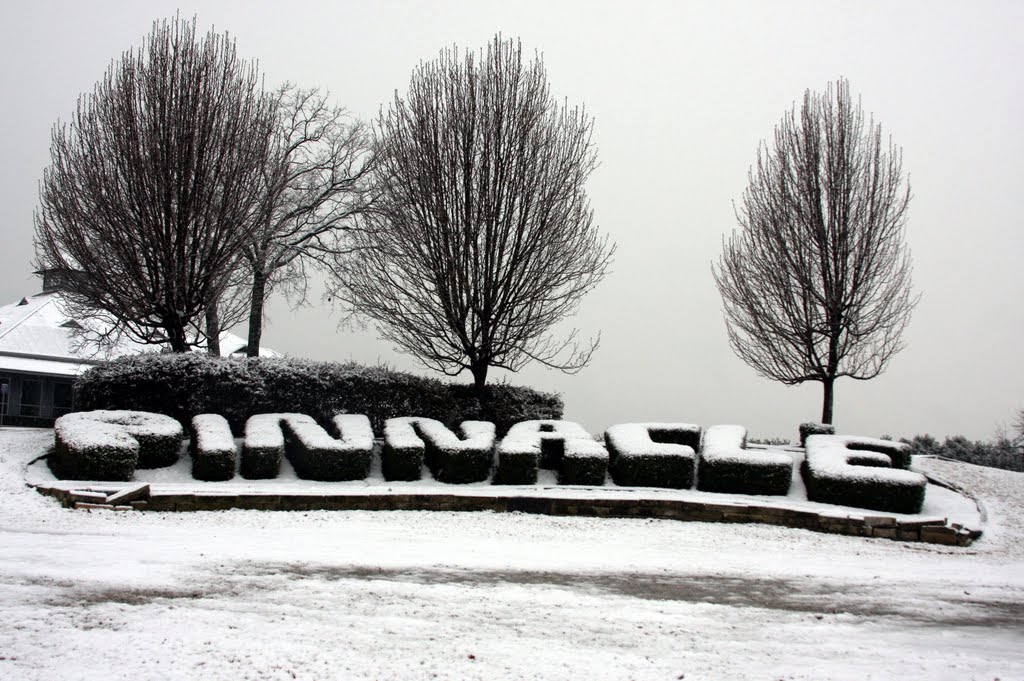 Pinnacle Club Golf Course in Snow