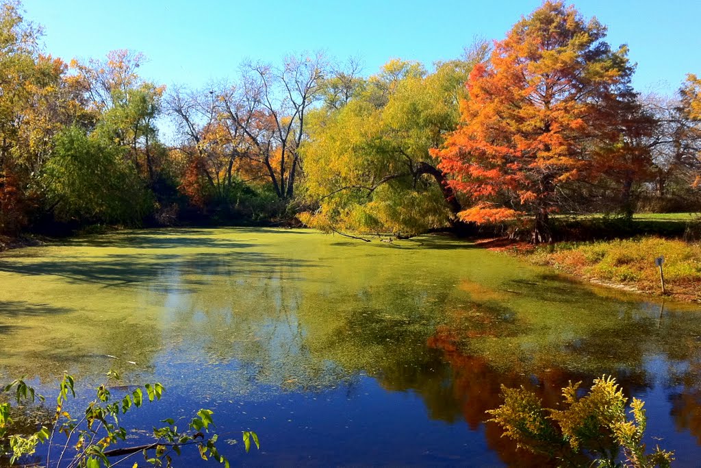 Lake at Samuel Farm, Sunnyvale, Texas