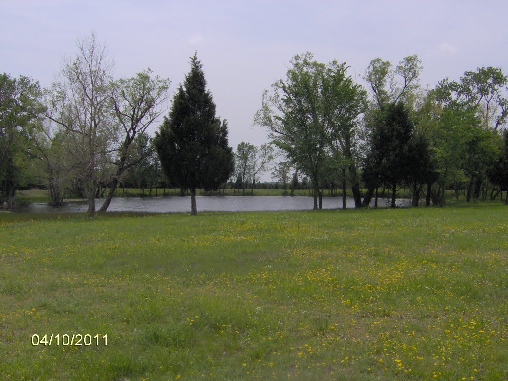 Samuell Mesquite Park Pond 4