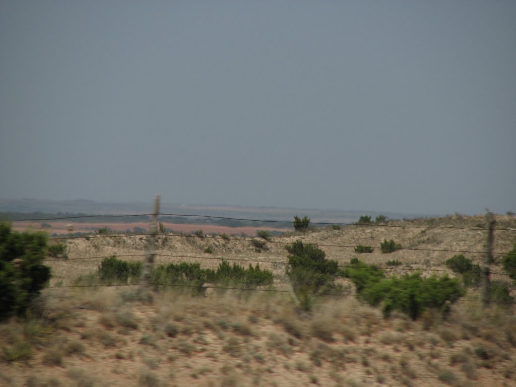 Texas bobwire