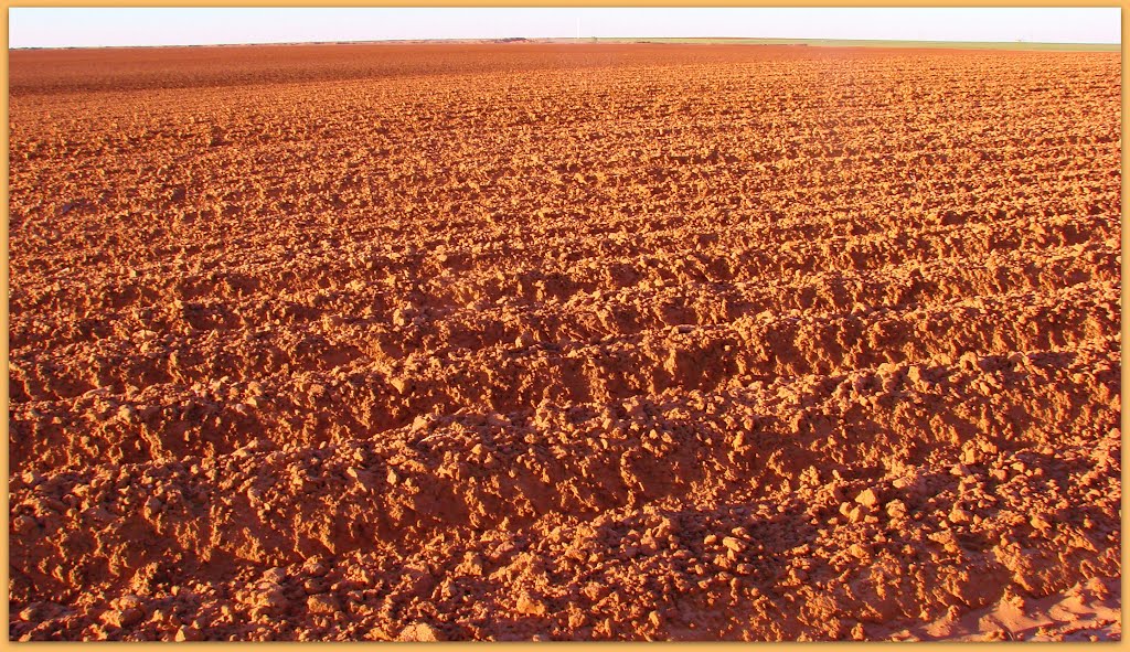 *Texas Red Dirt*