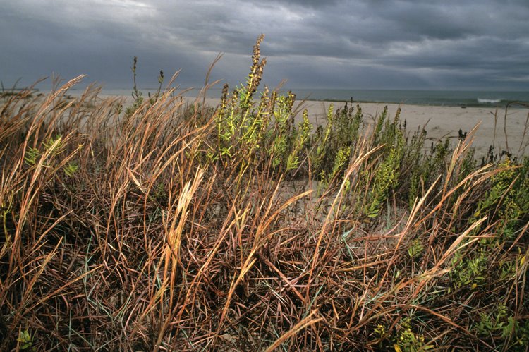 Texas Coastline at Port Aransas