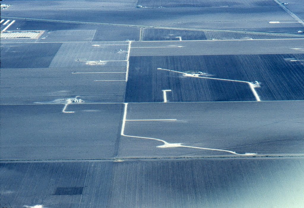 Cotton and oil