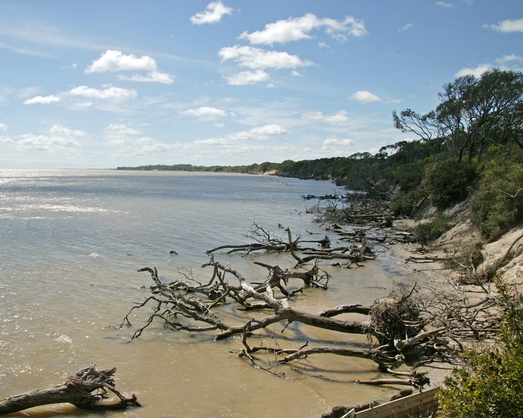 Bay view at Aransas Wildlife Refuge