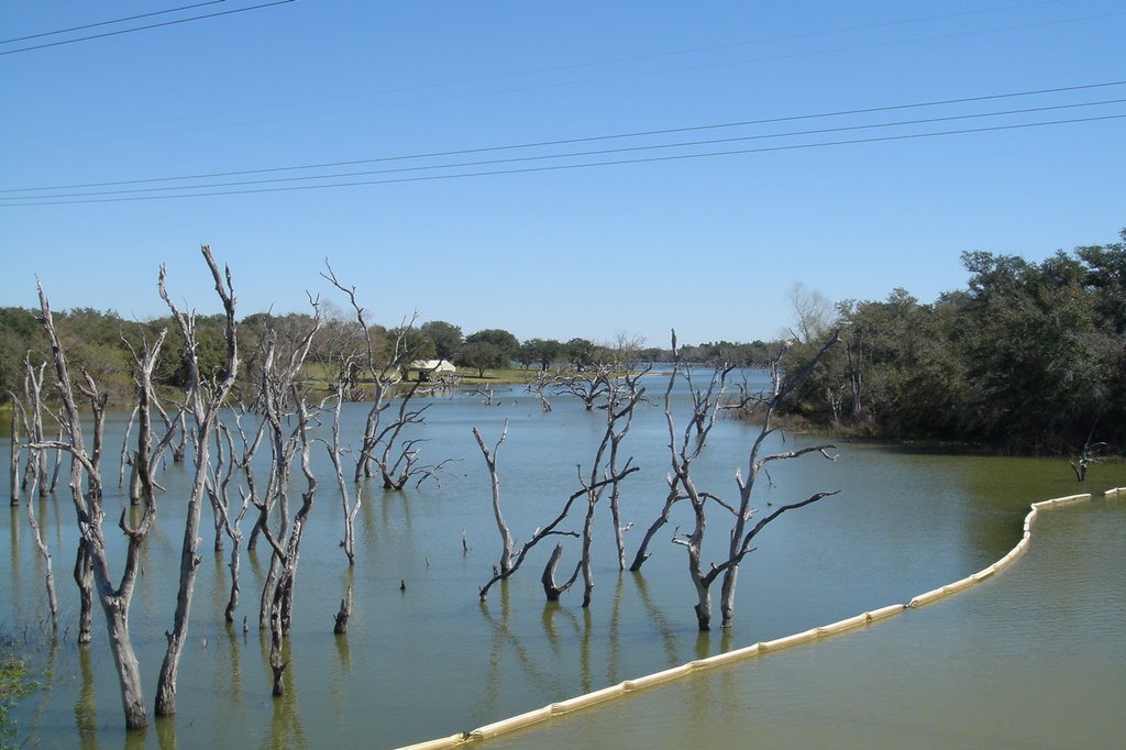 Coleto Creek Reservoir