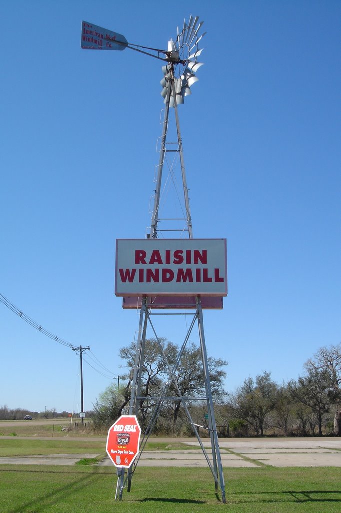 Raisin Texas Windmill