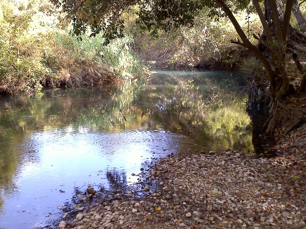 Paso de los Tejas