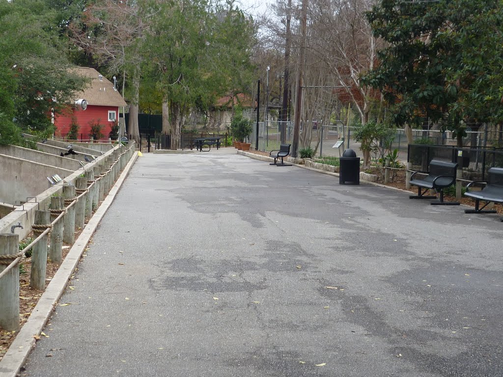 San Antonio Zoo
