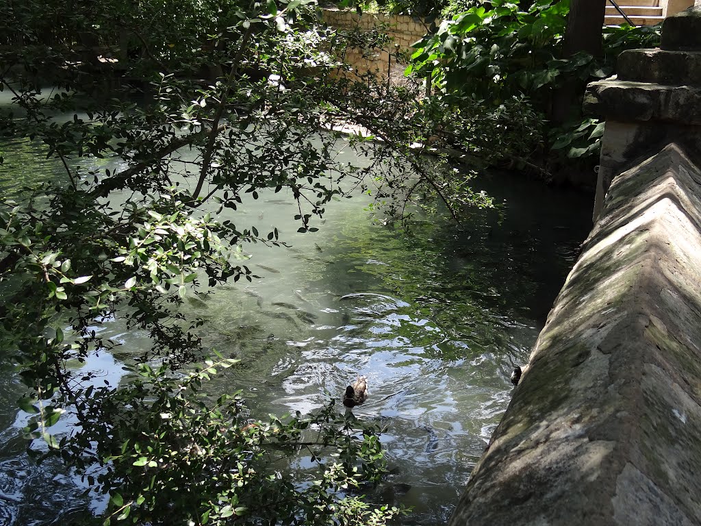 View from the bridge