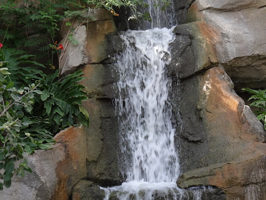 A Small Fall