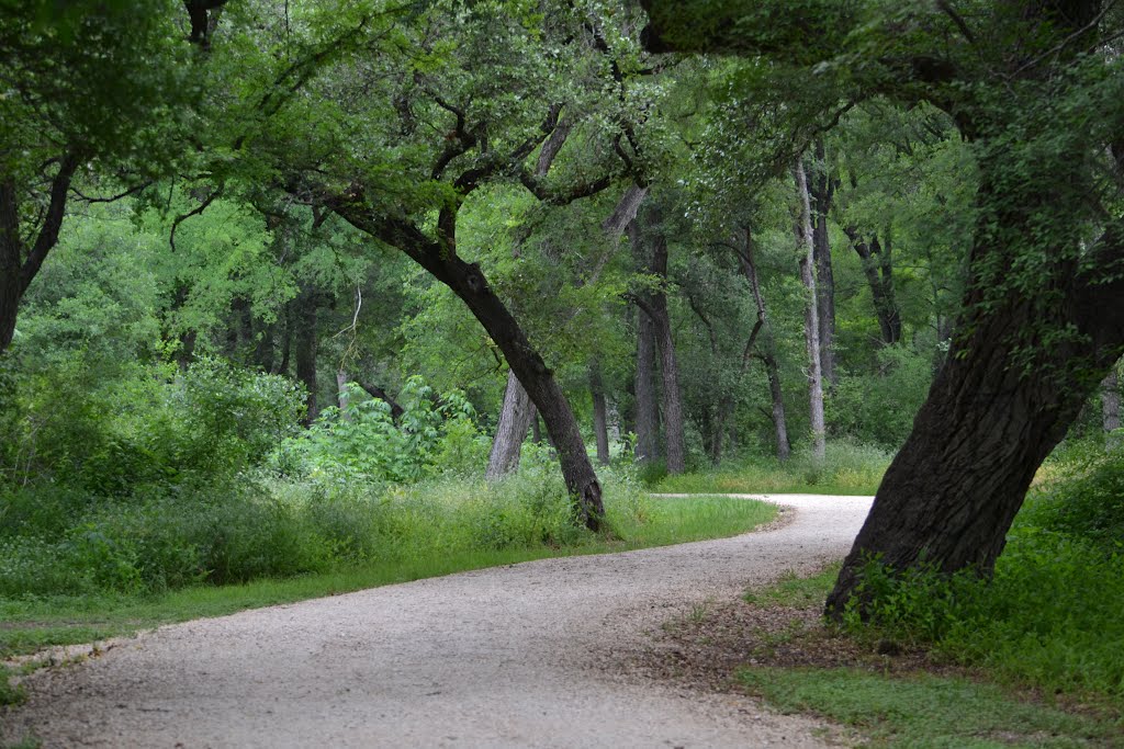 Brackenridge Park Path