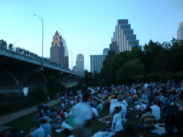 Austin, the bats in the Congress bridge, TX (08-2002)