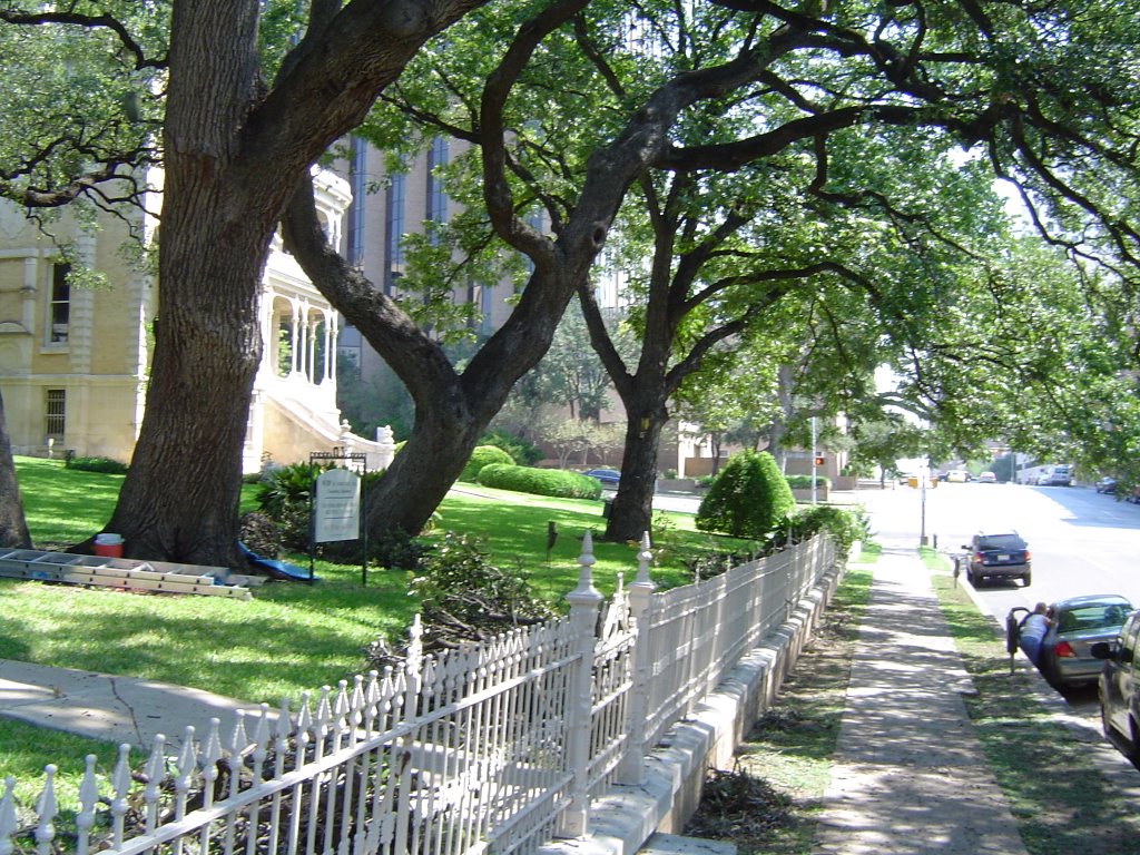 Austin Downtown. Street