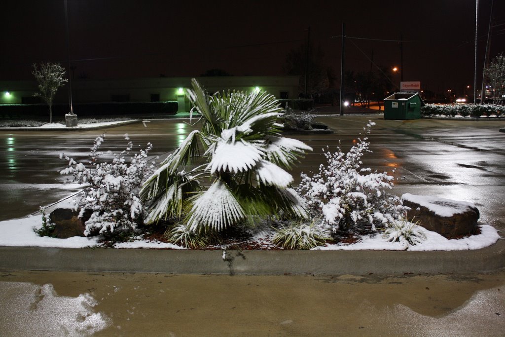 Snow near Ellington Field
