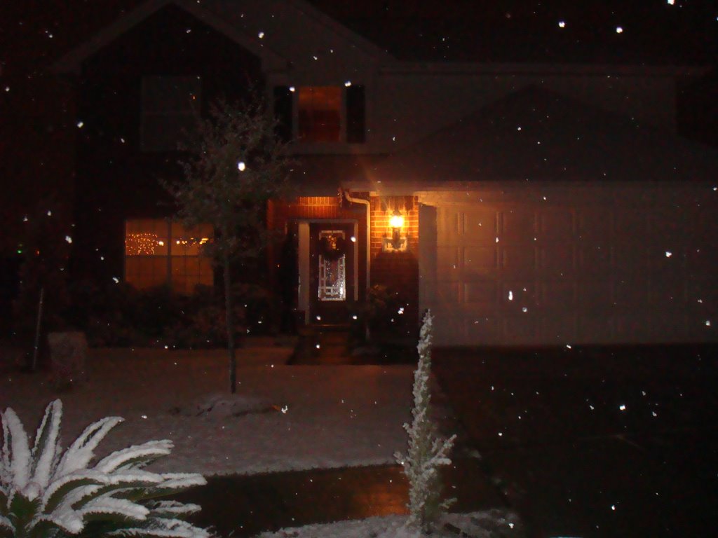 12027 Cottage Elm Ct