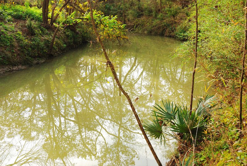 Clear Creek at 1776 Park