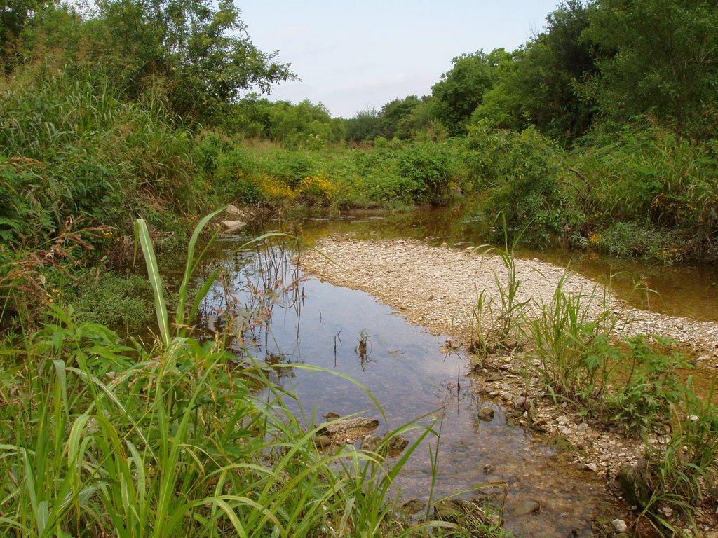 Salado Creek in San Antonio