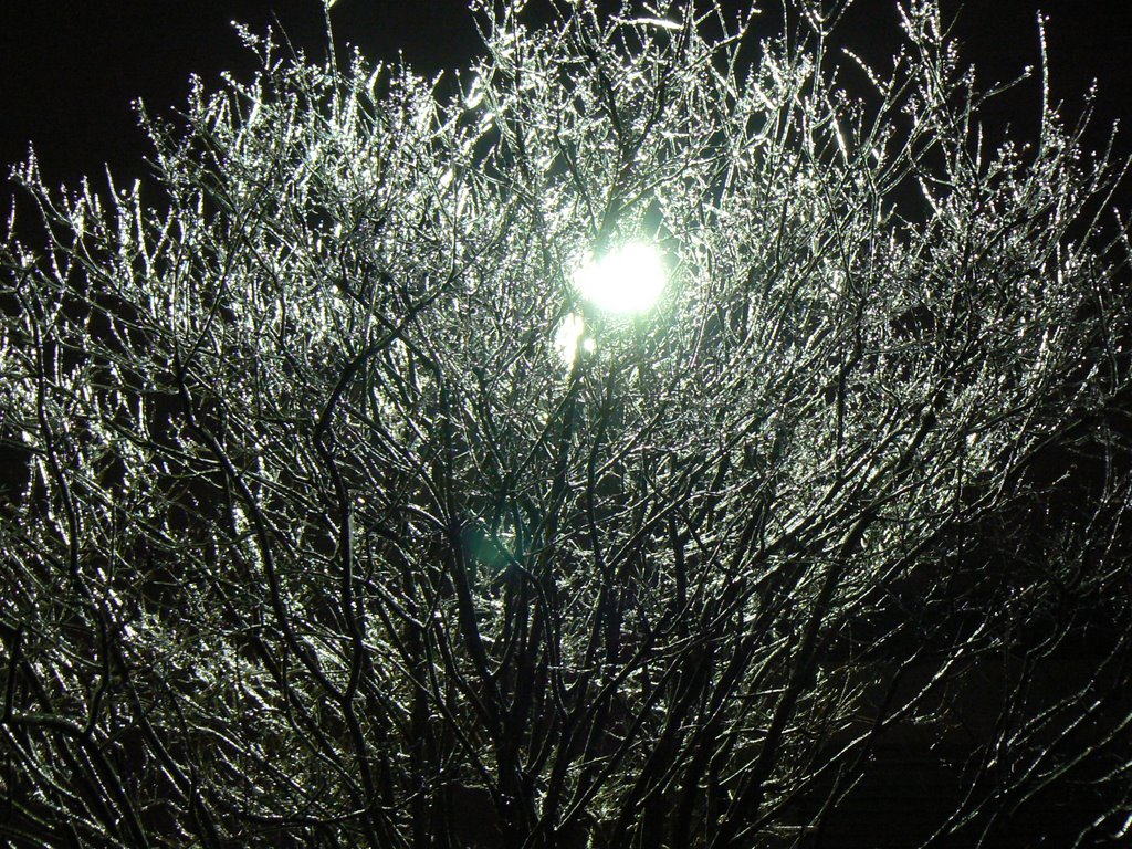 Ice Storm In San Antonio