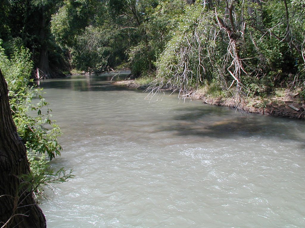 The Medina River