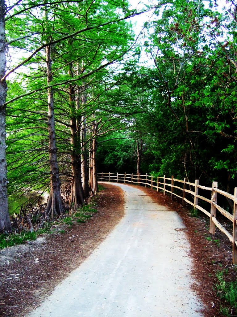 Denman Estate Park - Walking Trail