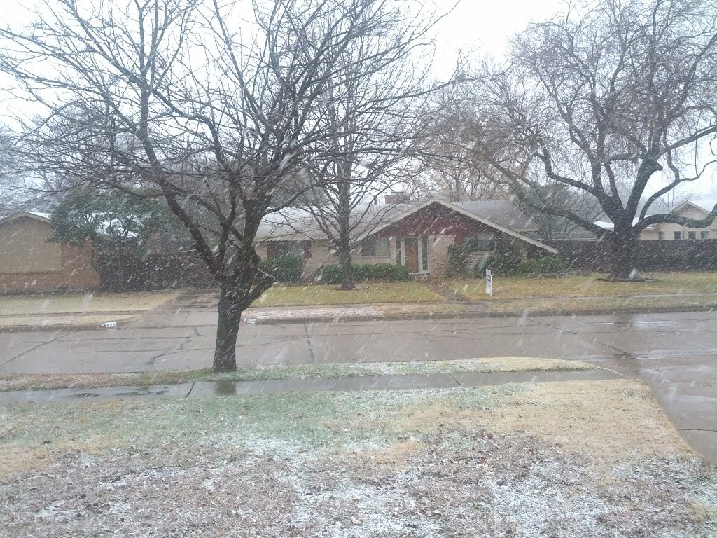 Snowy Solstice