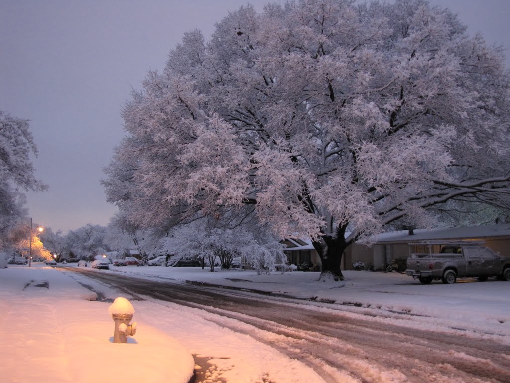 Winter Wonderland