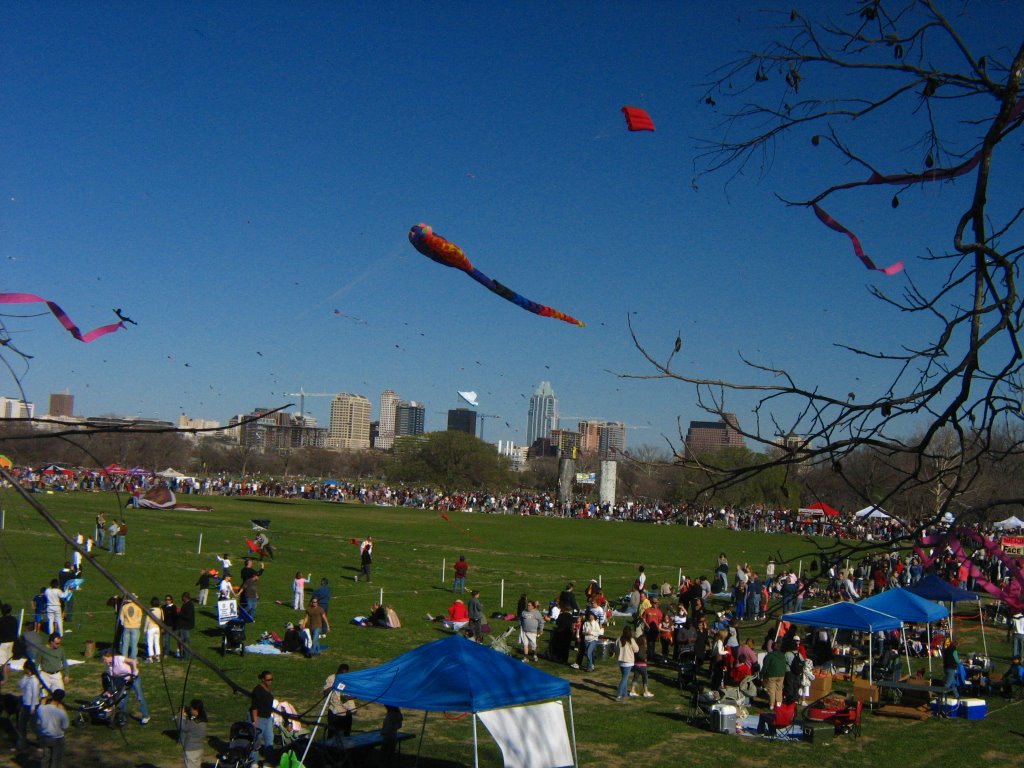 Annual Kite Festival at Zilker Park.  Winner of the "Larget Kite of the Year" Contest.