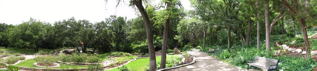 Austin- Zilker Botanical Gardens Rose Garden Overlook
