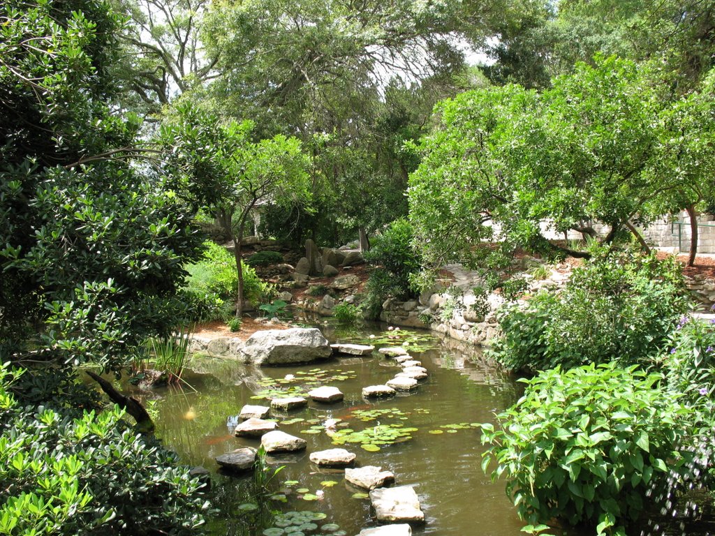 Austin- Zilker Botanical Garden Japanese Garden