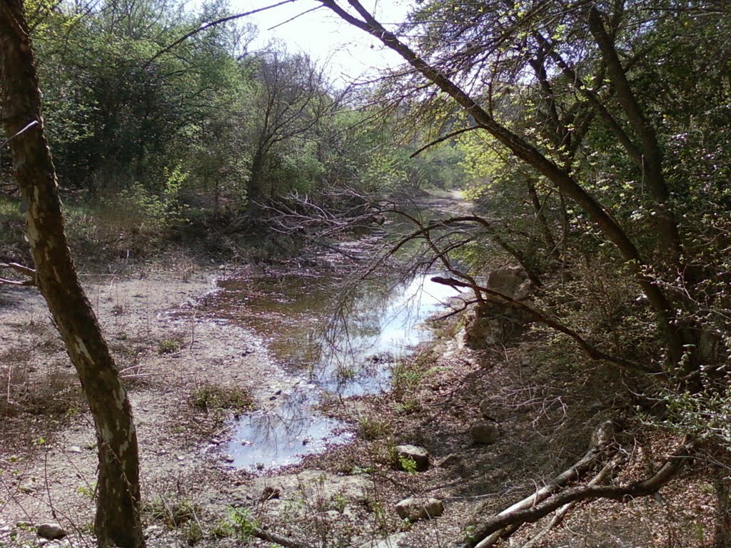 the green belt